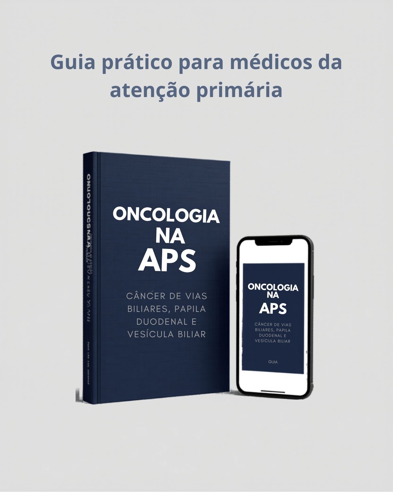 Vias Biliares, Papila e Vesícula